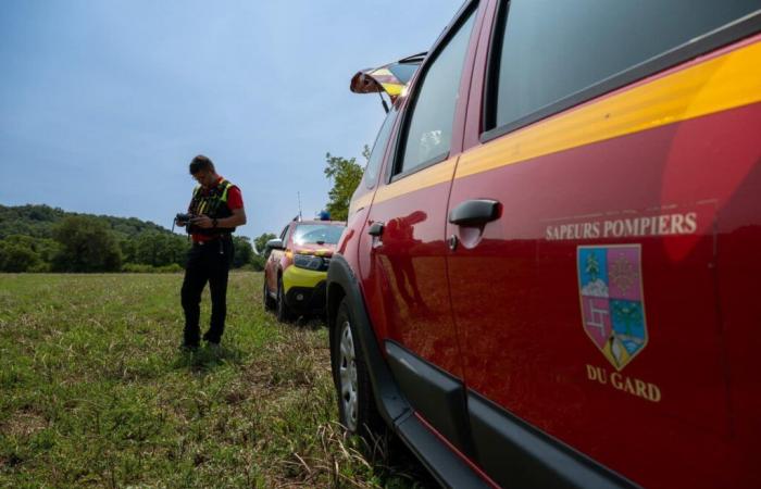 [VIDÉO] Gard: firefighters save a dog stuck underground for 24 hours: here is the video of the rescue! – News – Gard – Miscellaneous