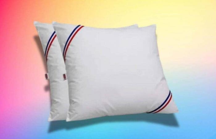 this set of two trendy pillows is less than 20 euros this Friday