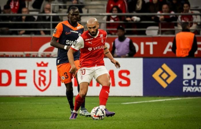 “Probable” return of Teddy Teuma with Stade de Reims for the trip to Le Havre