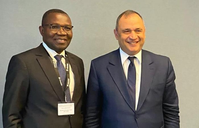 Mezzour meets with DR Congo Minister of Foreign Trade