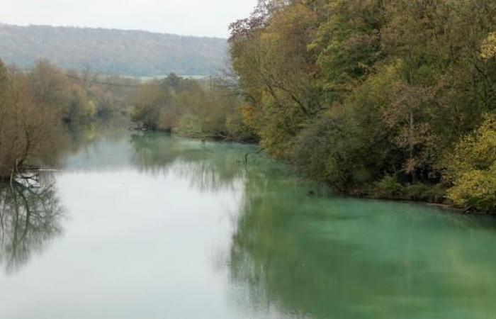 a company accidentally releases two tonnes of latex into the Meuse