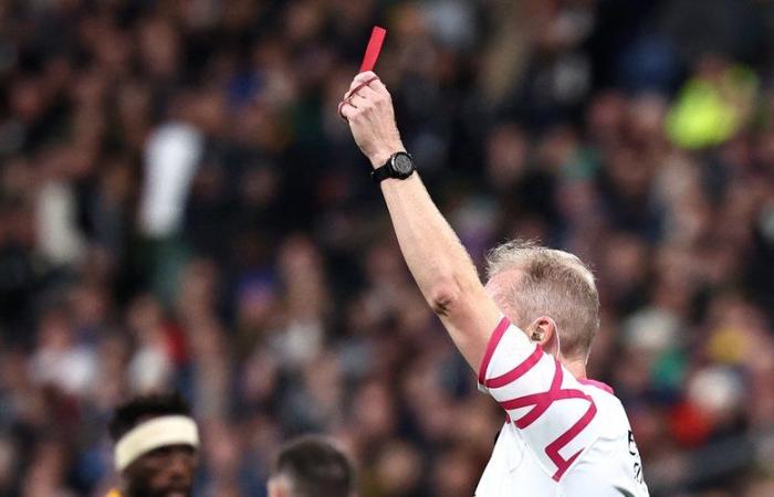 20-minute red card: how it will be applied during France-Japan and the fall tour of the XV of France