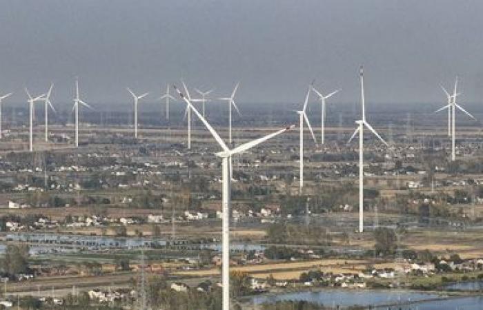 China adopts energy law to 'promote carbon neutrality'