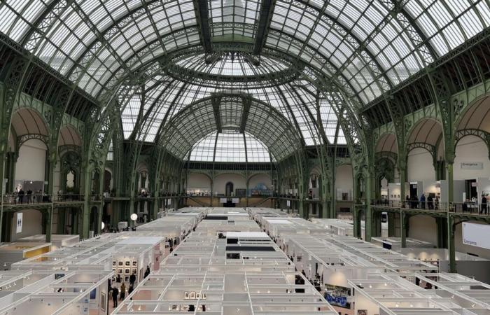 Paris Photo: long-awaited return to the Grand Palais! | NMR