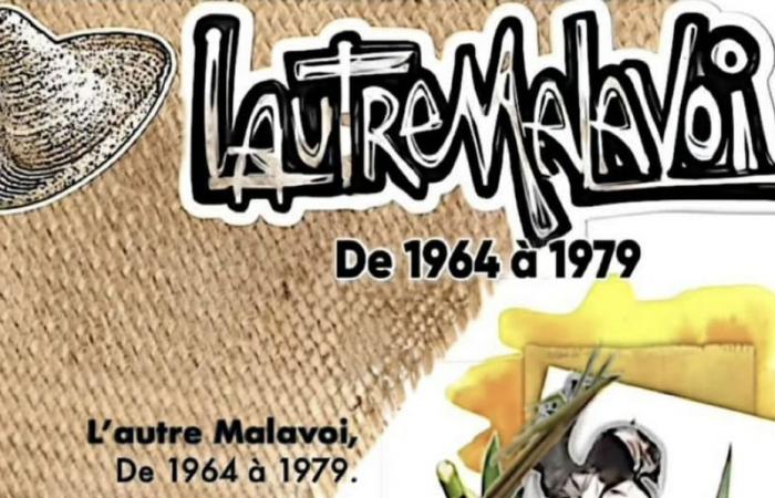 “L’autreMalavoi” with a group of musician friends, in tribute to the Martinican group this Saturday at Tropiques Atrium