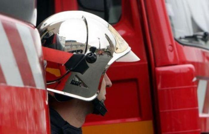 “Clean” and “well-trimmed”: firefighters will have to shave their beards if they want to return to work, according to the Council of State