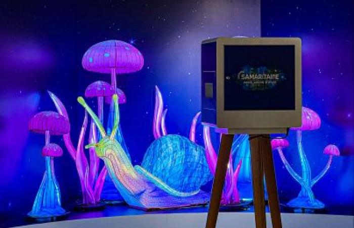 The 2024 Christmas windows of La Samaritaine: Thoiry Lumières Sauvages invades the store – photos