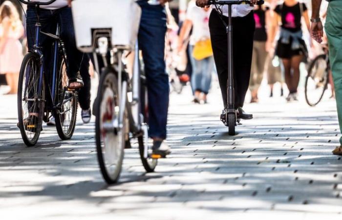 In Nantes, the “dogmatic” rise of bicycles put to the test of good manners