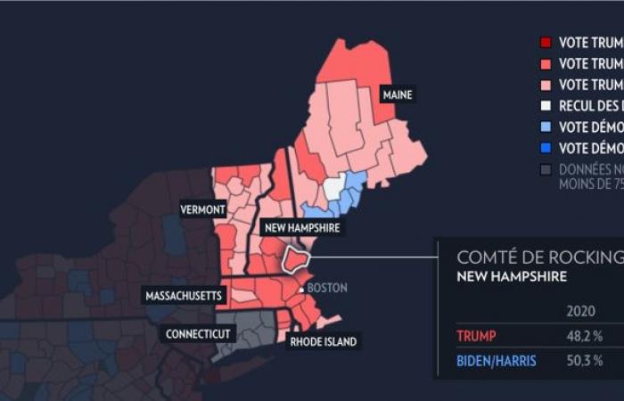 American presidential election | Where have Trump and Harris made the most gains?