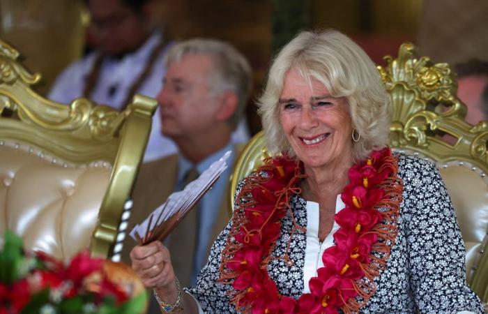 Suffering Queen Camilla will miss Remembrance Day ceremonies