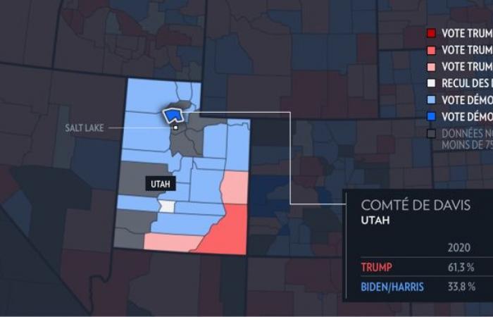 American presidential election | Where have Trump and Harris made the most gains?