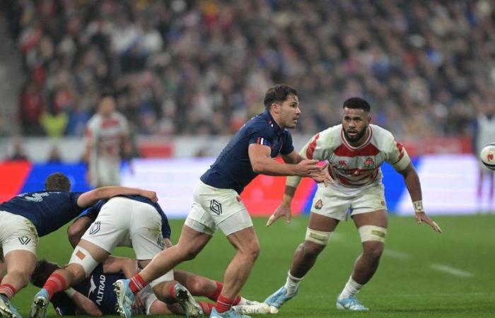 France-Japan: “No emotion”, “horrible”, “educational”… Comments on the French XV match on TF1 provoke strong reactions