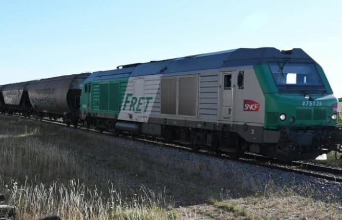 Dismantling of freight, privatization… The reasons for the strike announced at the SNCF