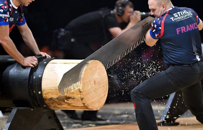 World sports logging championships in Toulouse: the French team surpassed itself in front of a won over audience