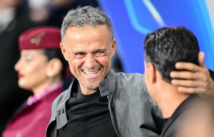 PSG: “An obsession”, Luis Enrique calms everyone