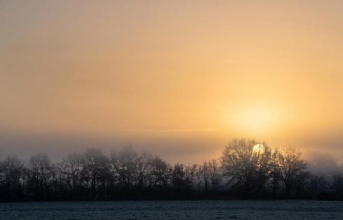 First “notable” cold snap next week in the north with temperatures close to 0°C