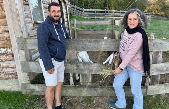 This manager of a park in Lot-et-Garonne discusses the harsh reality of the profession of animal caretaker