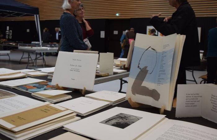 Art is also in books: Rodez invites you Saturday and Sunday to the 4th Artist's Book Biennale