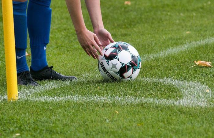 VIDEO. Football: “It’s over for him”… The astonishing reaction of a coach, who violently attacks his player after a red card