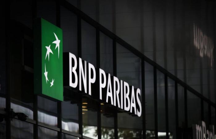 Associations accuse BNP of financing Israel