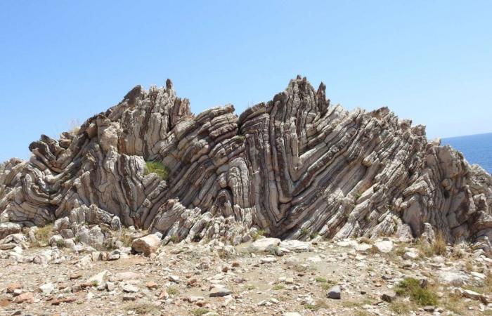 how do reliefs bear witness to the history of plate tectonics?