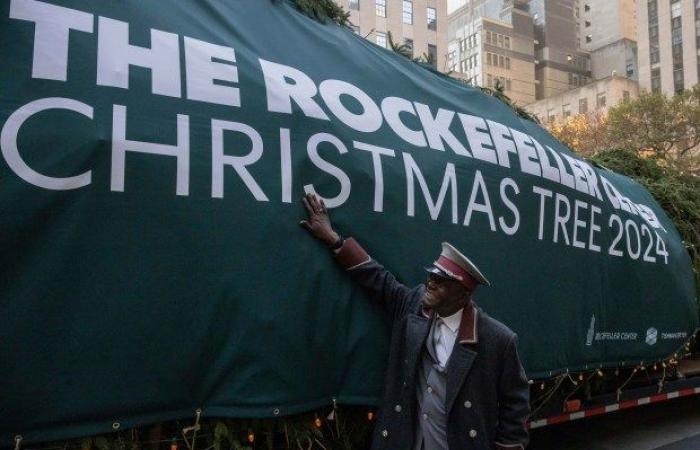 Massachusetts Norway Spruce arrives in NYC as Rockefeller Center Christmas Tree