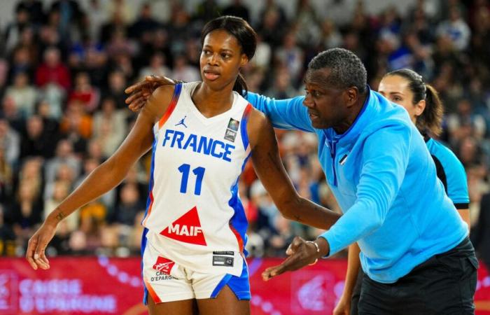 Latvia-France: at what time and on which channel to follow the qualifying match for the women's Euro basketball?