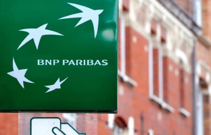 a pro-Palestinian demonstration organized in front of a BNP Paribas agency