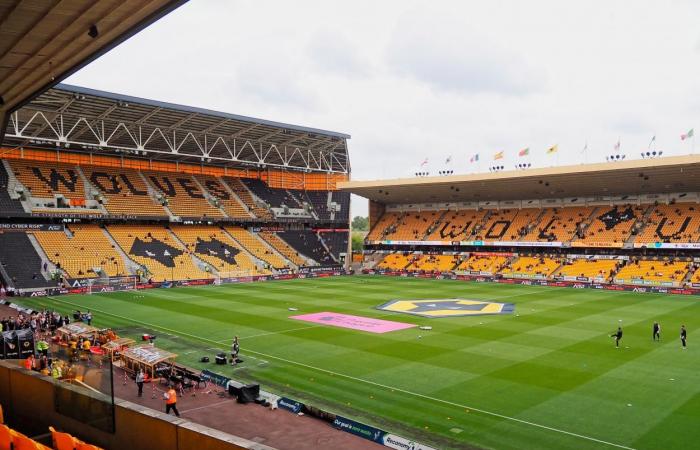 Wolverhampton vs Southampton LIVE Score Updates (1-0) | November 9, 2024