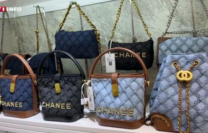 Chanee, Cleine, Baeenoiaga… The “pingti”, these Chinese imitations which flirt with counterfeiting