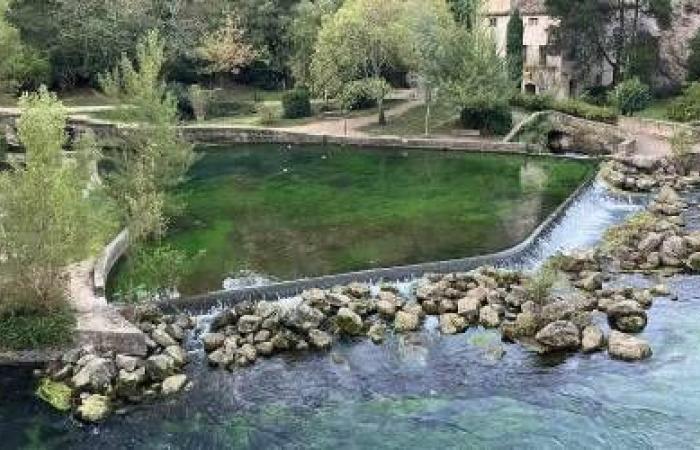 Environmentalists from Provence launch a “S.EAU.S”