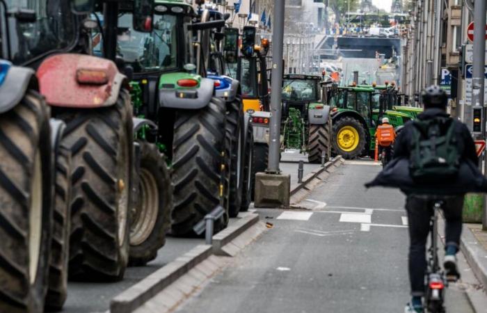 “The cup is full again”: young farmers took action on Walloon roads