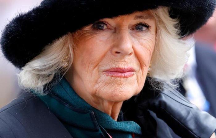 Seriously ill, Queen Camilla officially absent from Remembrance Day commemorations