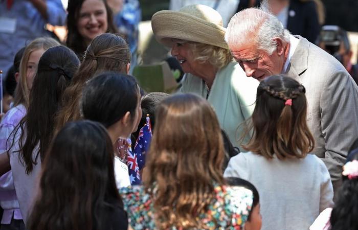 Seriously ill, Queen Camilla officially absent from Remembrance Day commemorations