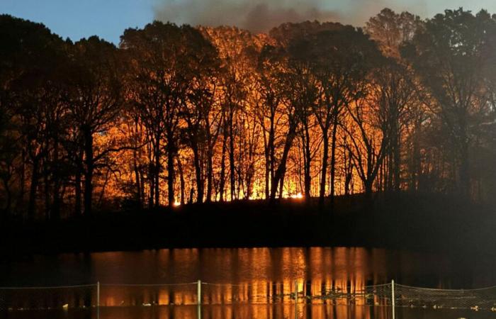 Brush fire breaks out in New York park