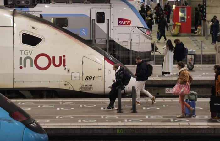 Cat of two Bordeaux women crushed by a train: SNCF released on appeal