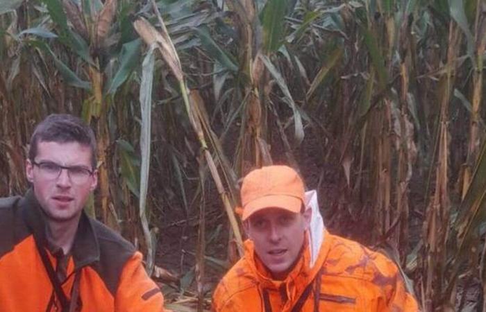 A 178 kg wild boar killed in Neau this Saturday, November 9