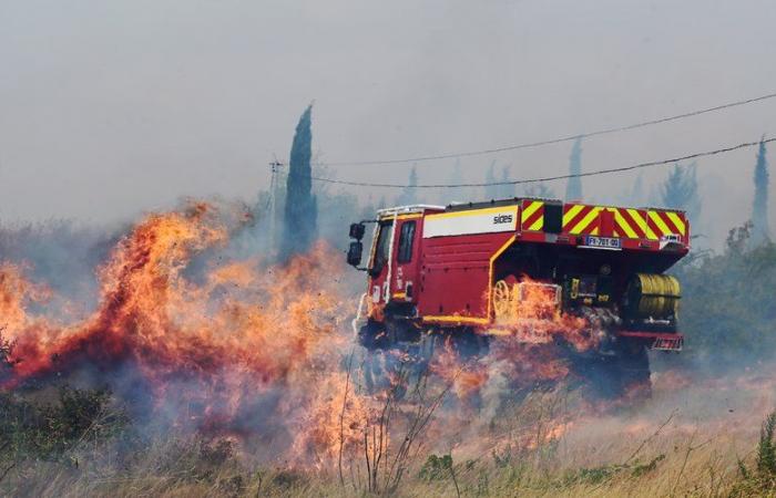 To improve cohesion within his fire station and avoid budget cuts: a former fire chief lights six forest fires