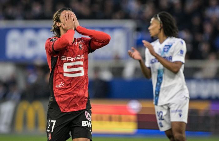 Ligue 1. Stade Rennes in full fog before hosting Toulouse