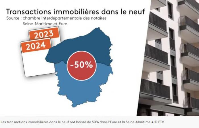 How the drop in transactions impacts real estate market prices – Actual Immo