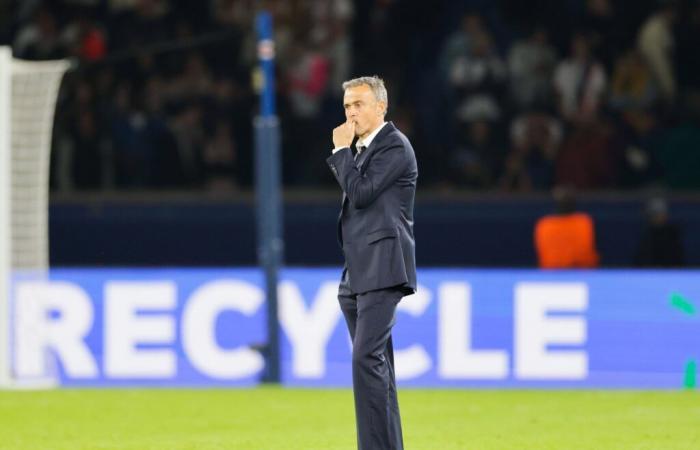 Mercato – PSG: Luis Enrique has chosen his number 9