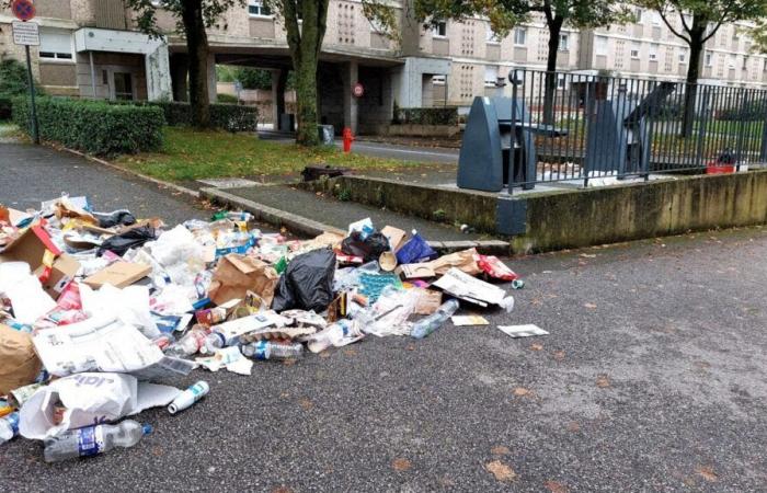 Baby found in a trash can in Rennes. Mother files rape complaint against father, confirms her lawyer