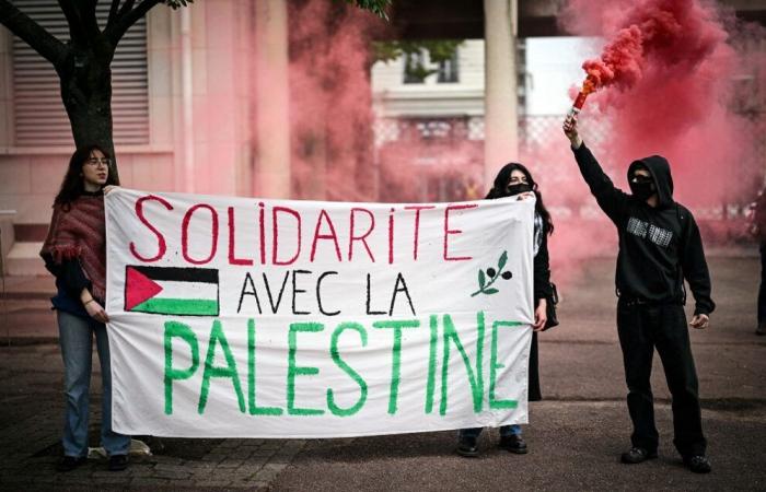 Lyon: a new rally this Saturday in support of the Palestinian and Lebanese people