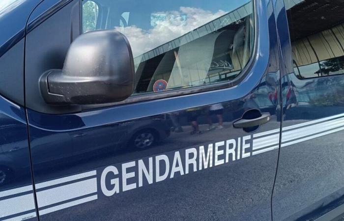 Landes: the gendarmerie launches a call for witnesses after the worrying disappearance of a 59-year-old man