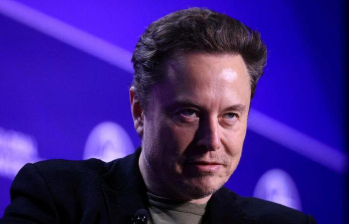 United States: Elon Musk participated in the call between Volodymyr Zelensky and Donald Trump after his victory