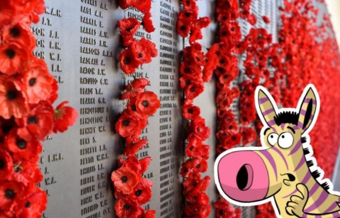 What is celebrated on Remembrance Day?