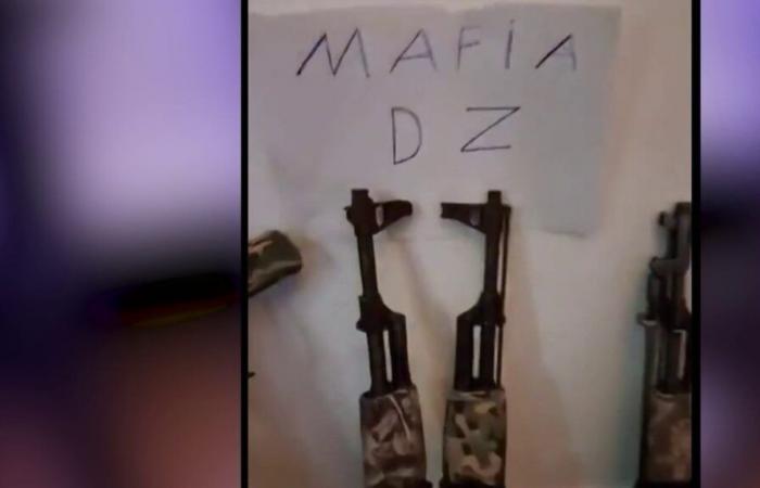 the strategy of the DZ Mafia to reign over Marseille drug trafficking