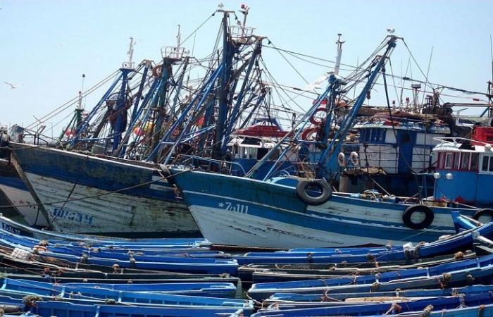 Fisheries: Morocco receives the prize for compliance with CGPM standards for the fourth consecutive time