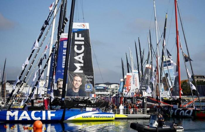 150 kg of food, 15% women, 7 million euros for an Imoca… The figures of a record edition