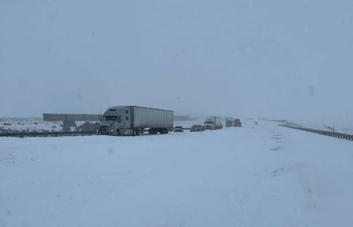 About 100 vehicles stranded in rural New Mexico in below-freezing conditions during ‘powerful’ snowstorm